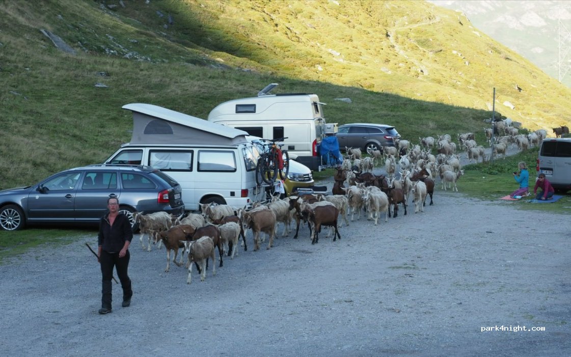 (6781) Bedretto - — foto 2