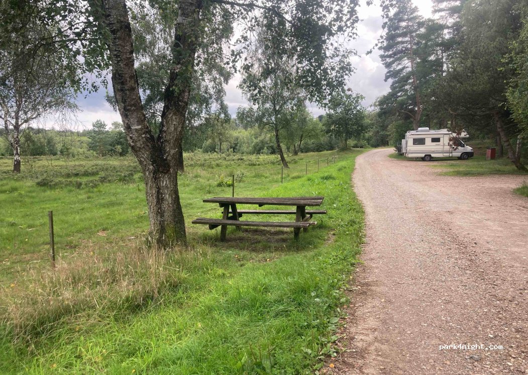 (7250) Hejnsvig - Billundvej — foto 2