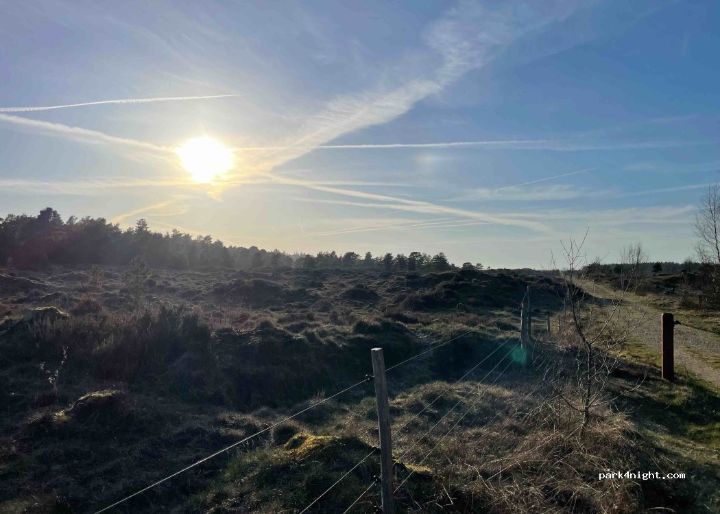 (7250) Hejnsvig - Billundvej — foto 5
