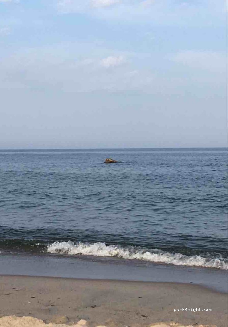 (238510) Kaliningradskaya - Unnamed Road — foto 3