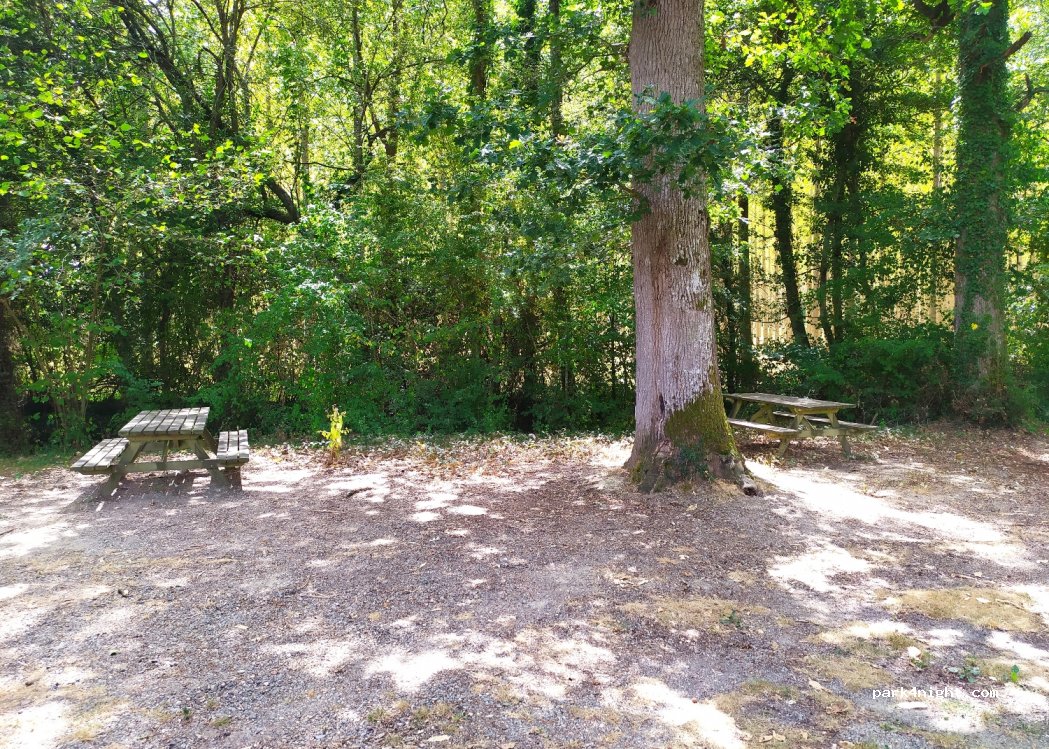 (32460) Perchède - route de la foret — foto 2