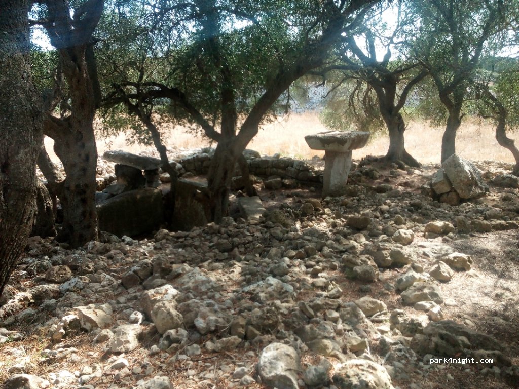 (07769) Ciutadella de Menorca - Son Camps — foto 3