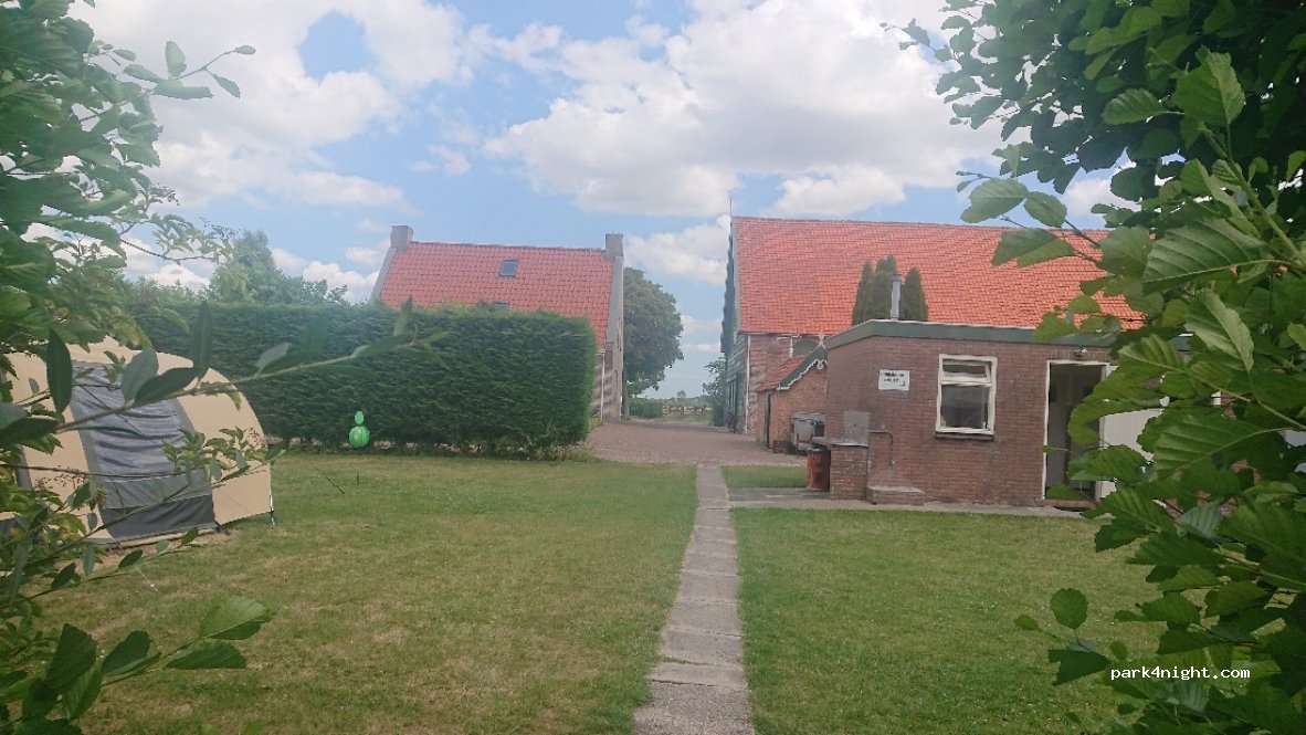 T Zwaantje — foto