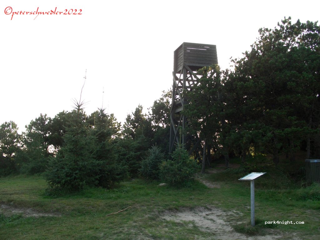 (6830) Nørre Nebel - Unnamed Road — foto 3