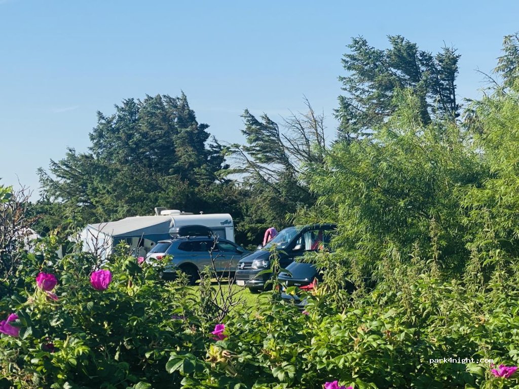 Løkken maritime naturcampingplads Vestkystcamping — foto