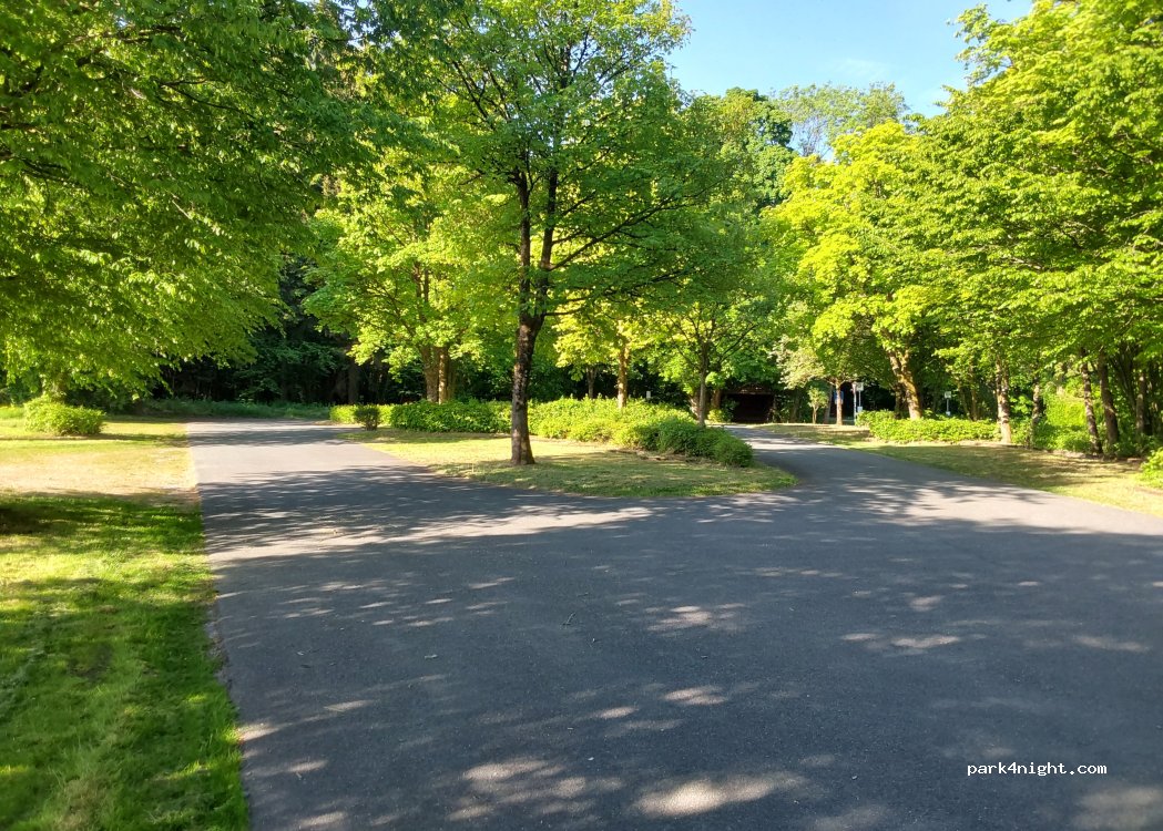 (33181) Bad Wünnenberg - K36 — foto 4