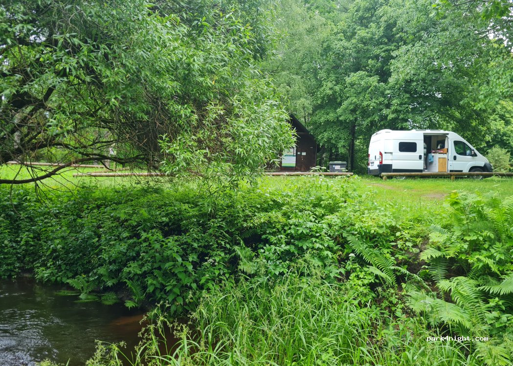 (45419) Koljaku - 1 Metsanurga — foto 5