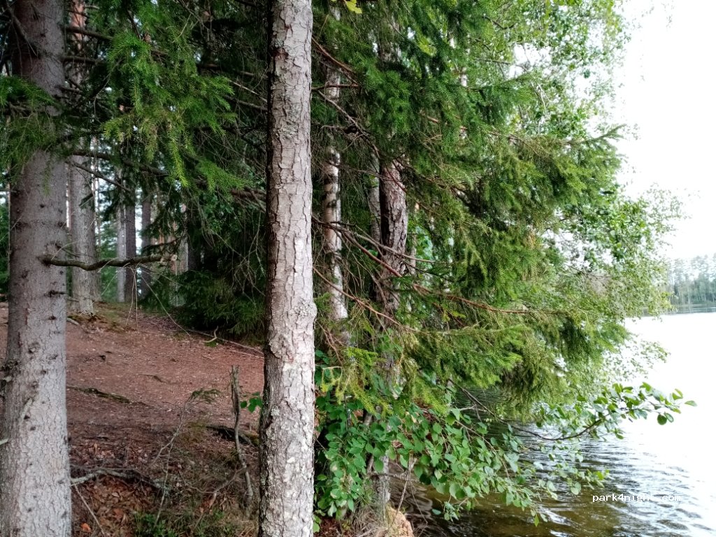 (12950) Loppi - 385 Vojakkalantie — foto 2