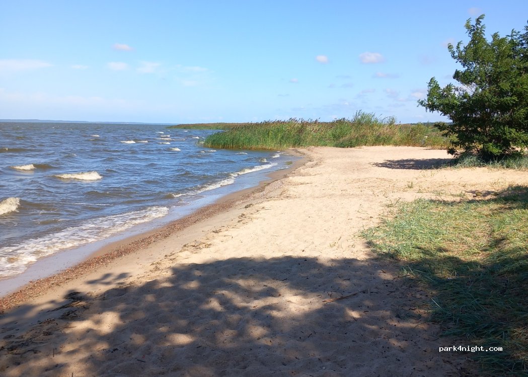 (82-340) Suchacz - 1 Radości — foto 4