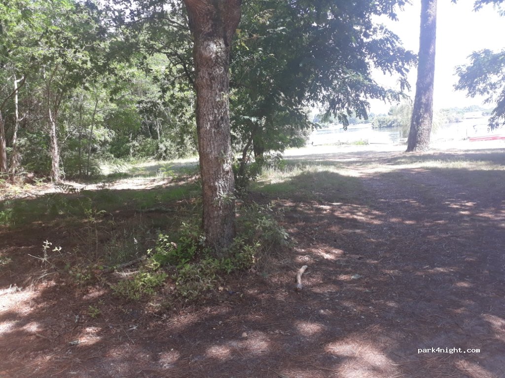 (40600) Biscarrosse - Route du Taron — foto