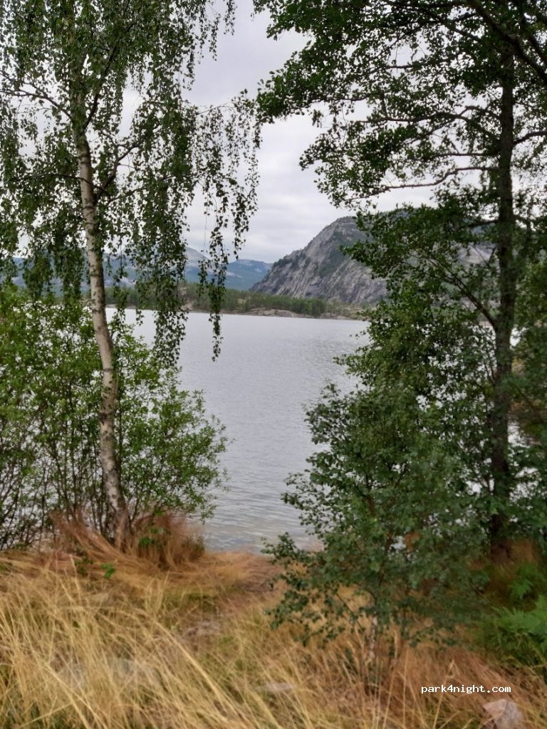 (3853) Vrådal - 2293 Kviteseidvegen — foto 2