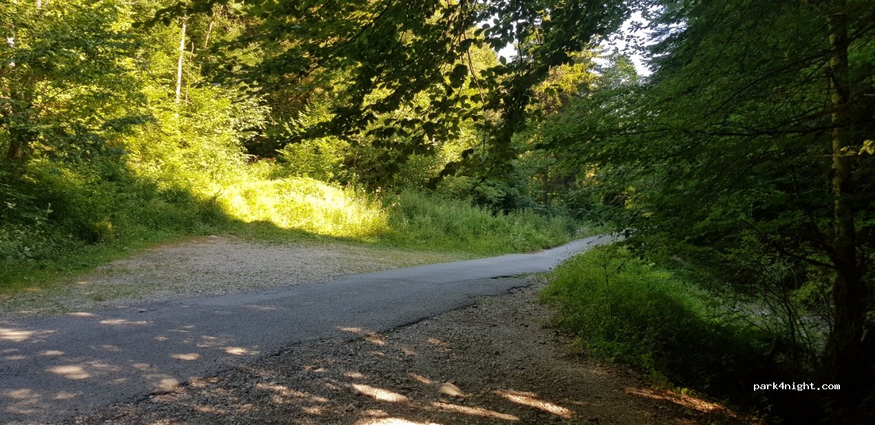 (74210) Doussard - 2 Route Forestière Domaniale de la Combe d'Iré — foto 3