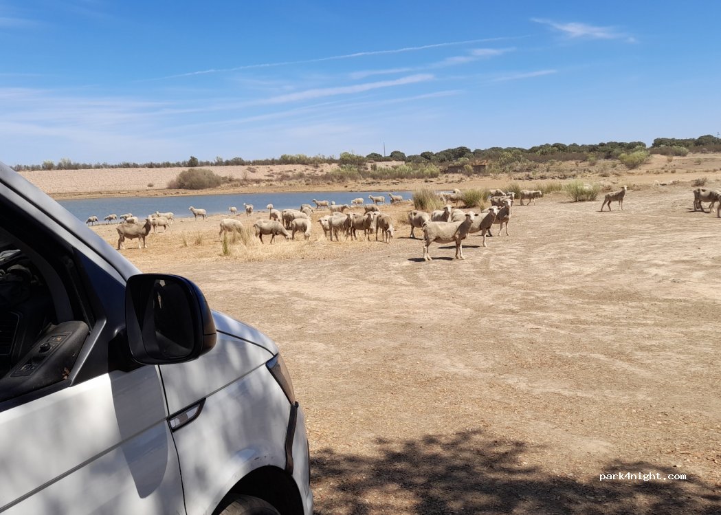 (06689) Valdecaballeros - Paraje Valdecaballeros — foto 4