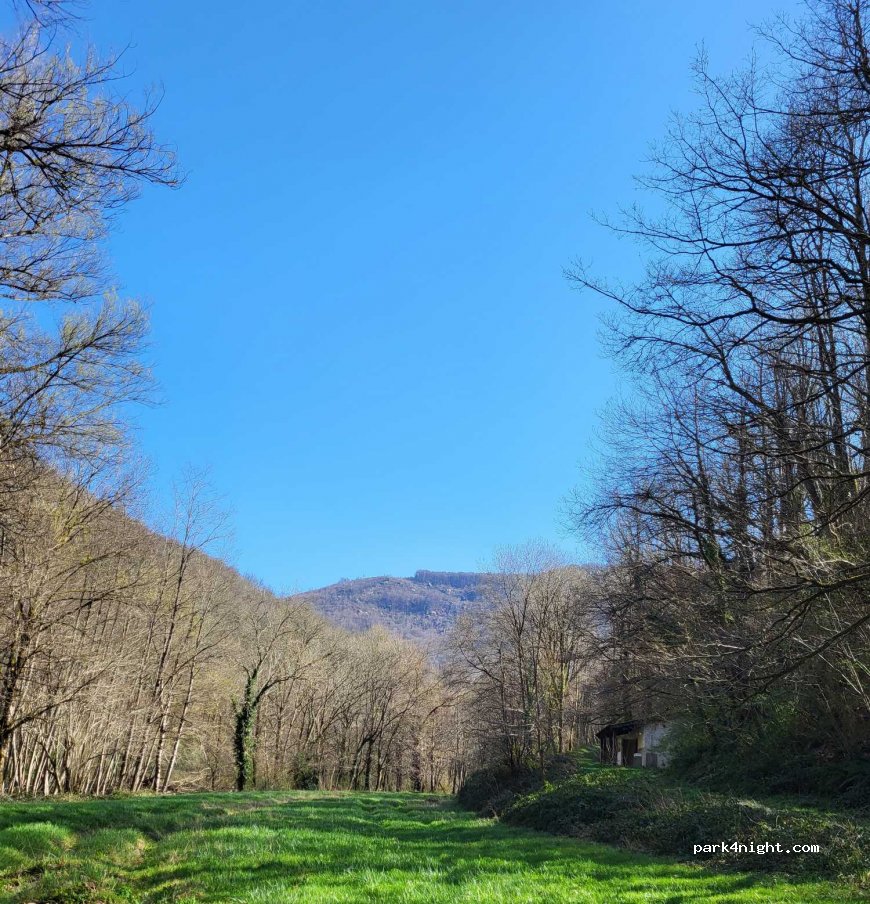 Camping le Bois Flottant — foto 3
