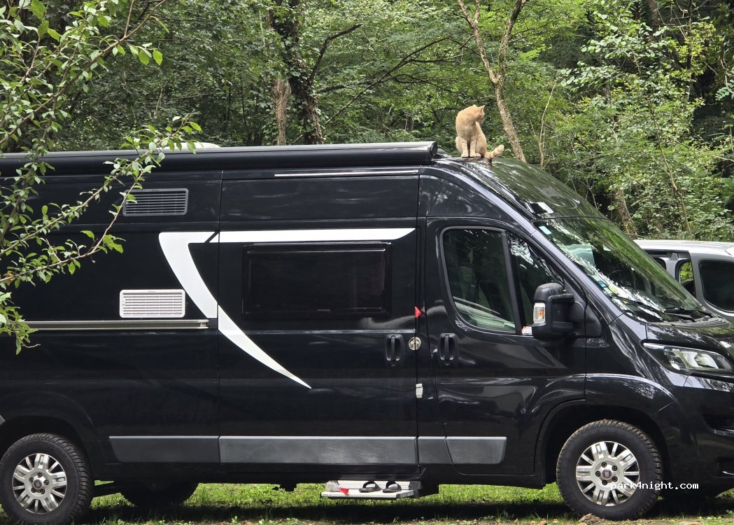 Camping le Bois Flottant — foto 5