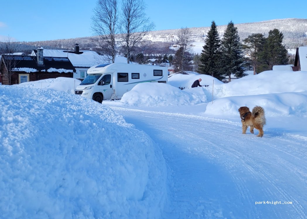 Geilo Hytter of Camping — foto 3