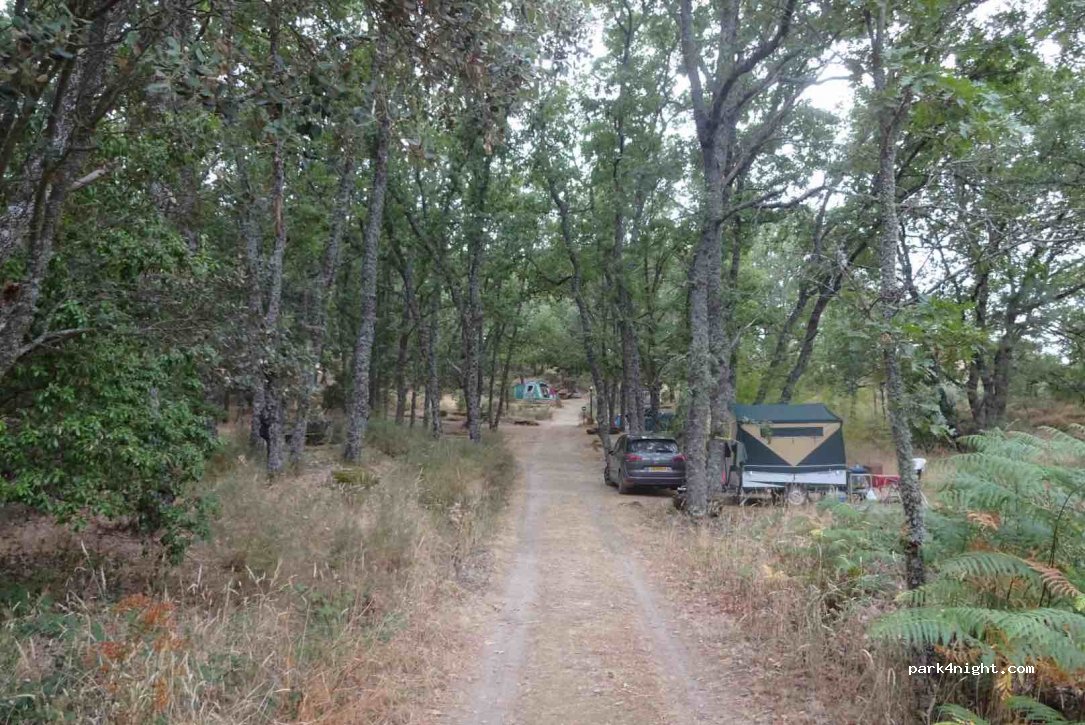 Camping El Burro Blanco — foto