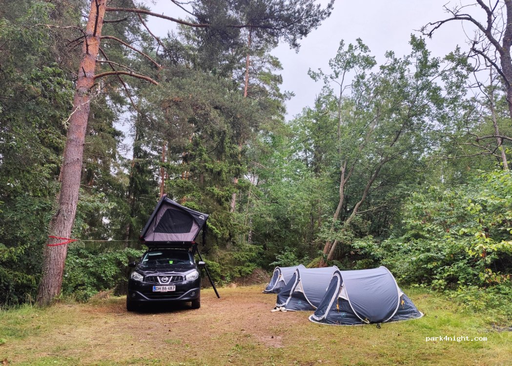 First Camp Kolmården - Norrköping — foto 4