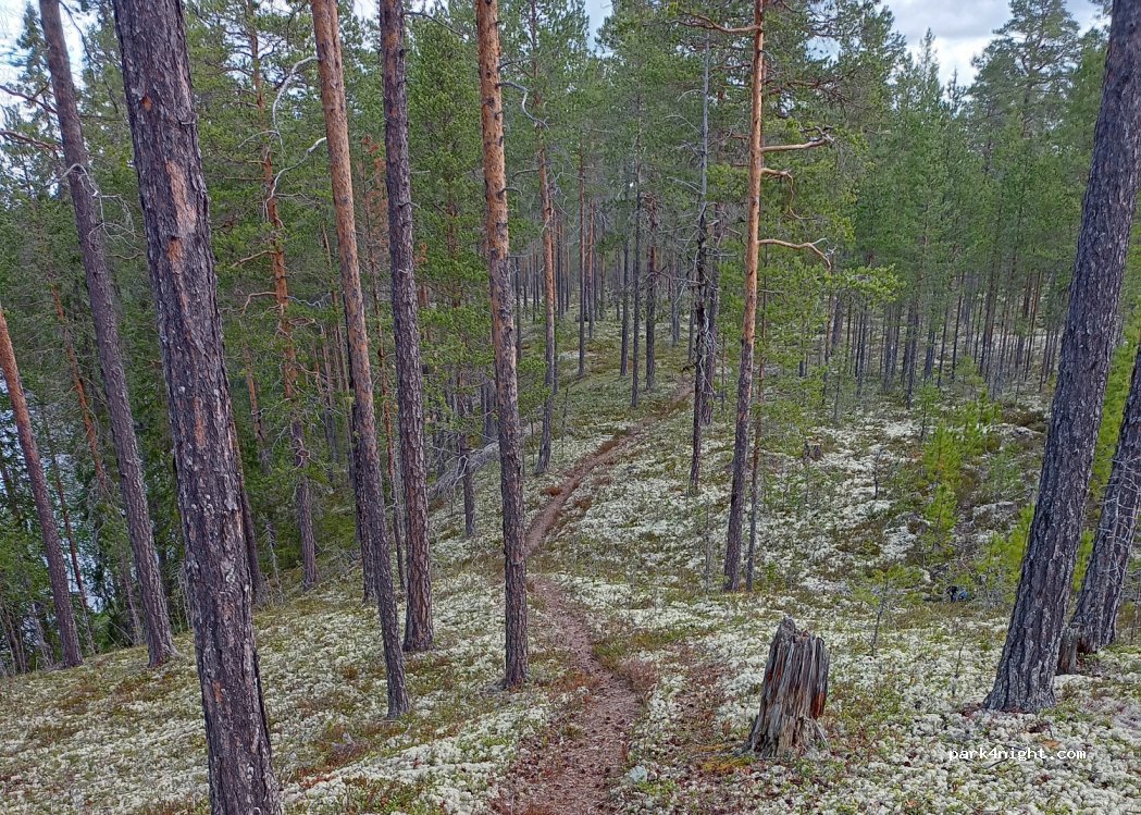 (790 91) Idre - Unnamed Road — foto 2