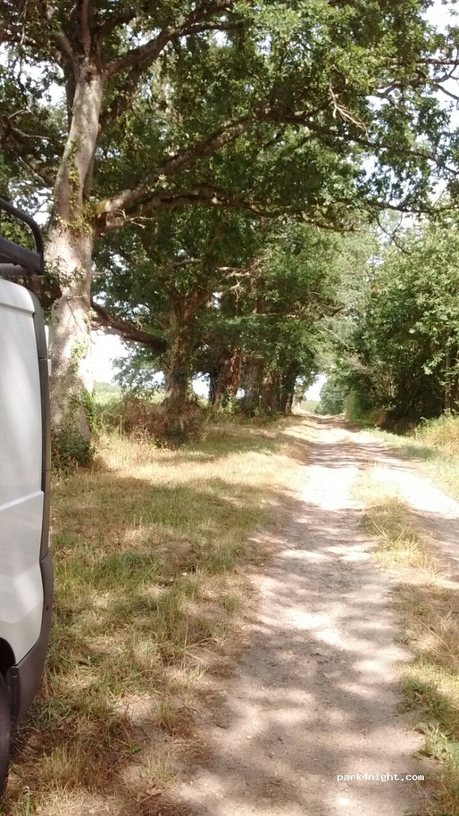 (49150) Baugé en Anjou - Les Épinettes — foto