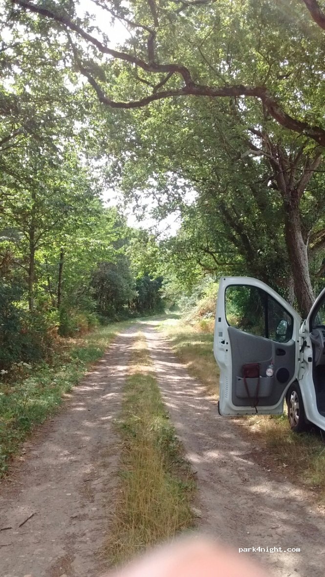 (49150) Baugé en Anjou - Les Épinettes — foto 2