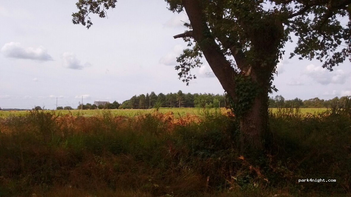 (49150) Baugé en Anjou - Les Épinettes — foto 3
