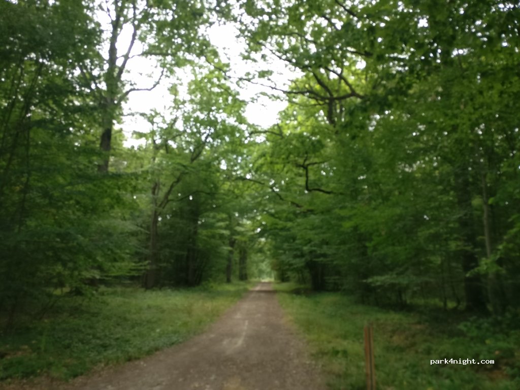 (28170) Saint-Jean-de-Rebervilliers - D138 — foto 2