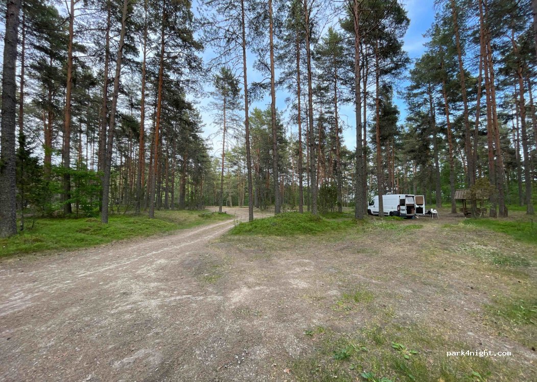 (42004) Lohusuu - Unnamed Road, Raadna — foto 3
