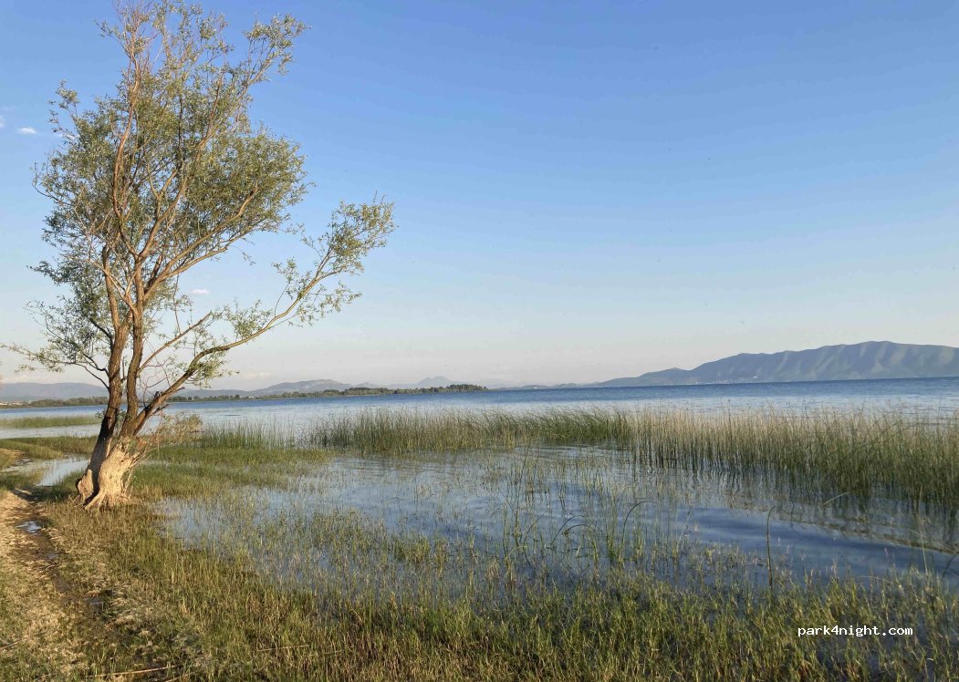 () Koplik - Rruga Liqeni — foto 3