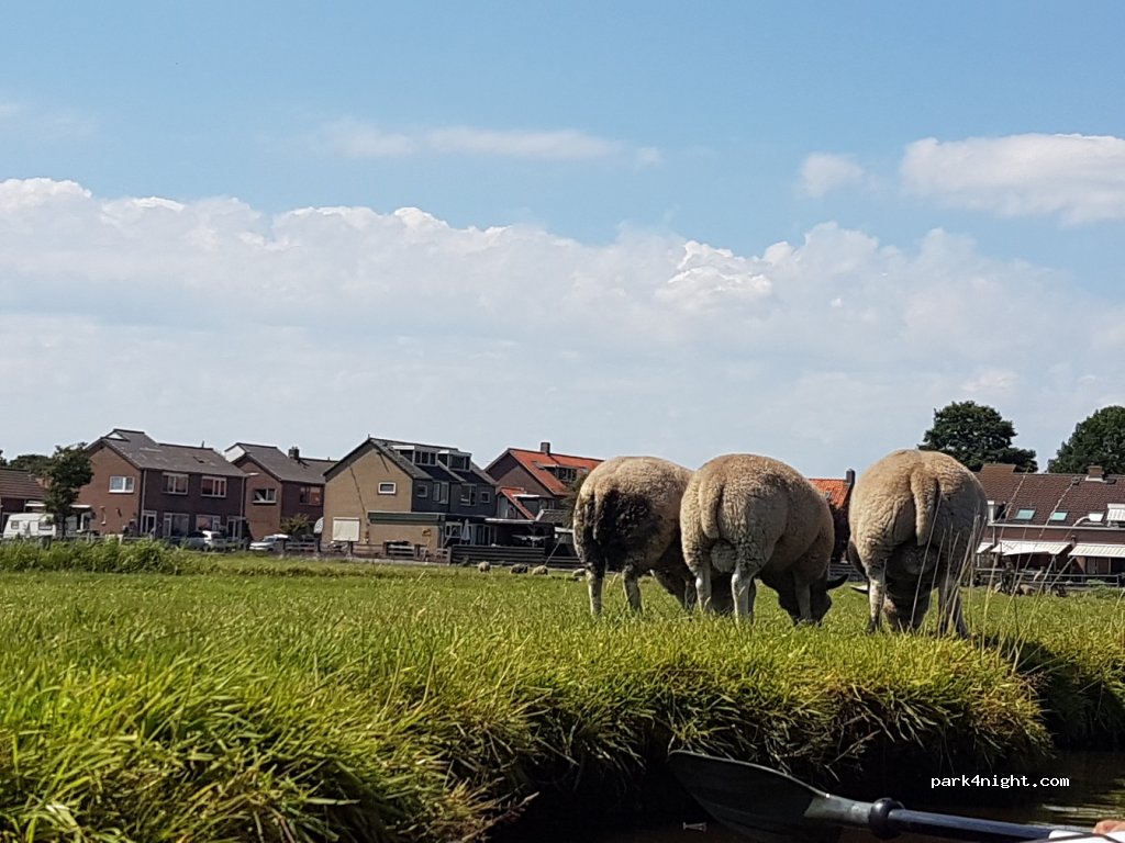Camping Tuinderij Welgelegen — foto