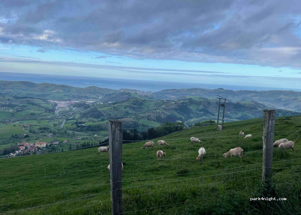 (20749) Zestoa - 10Y Endoia Diseminados Auzoa — foto 2