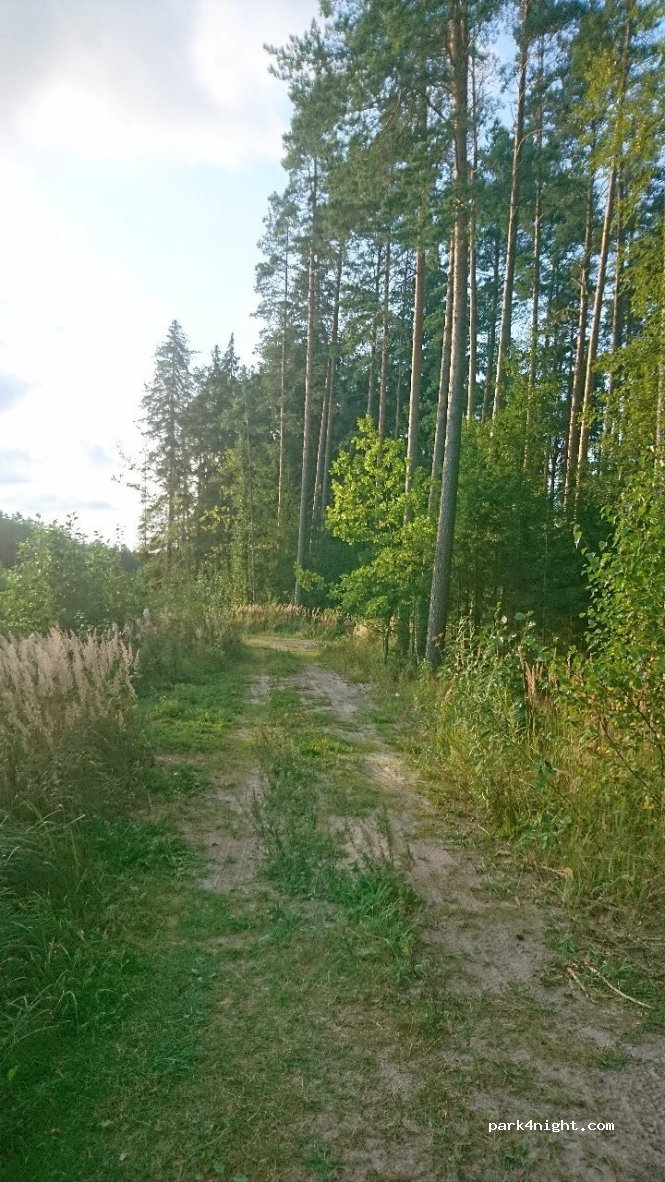 (85009) Tammiste - 9 Nurmenuku — foto 3