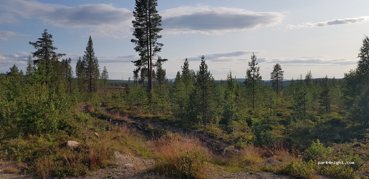 (962 99) Jokkmokk - Unnamed Road — foto 2