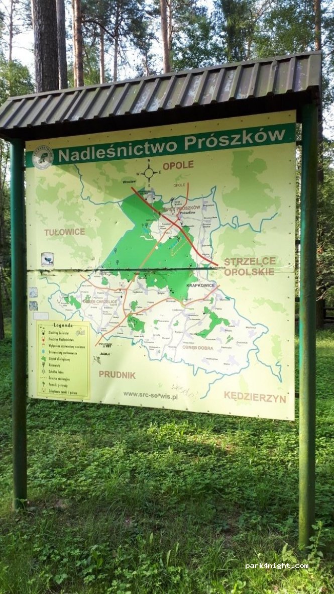 (47-300) Gwoździce - 23 Boczna — foto 2