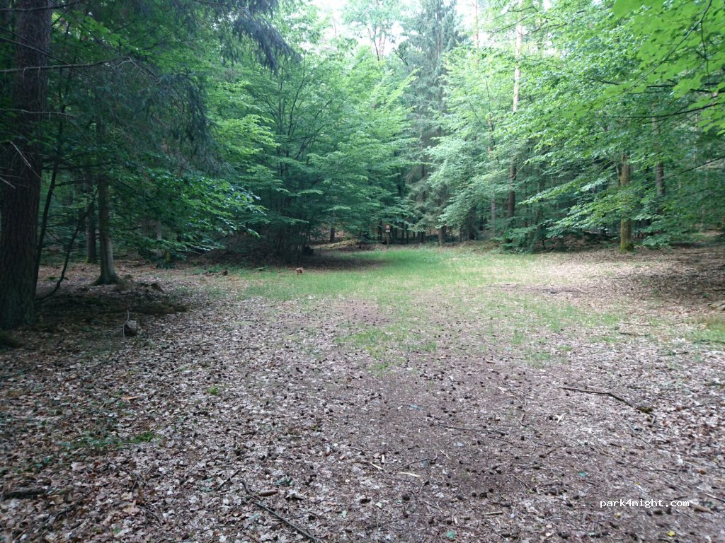 (57230) Éguelshardt - 224 Kronenacker — foto