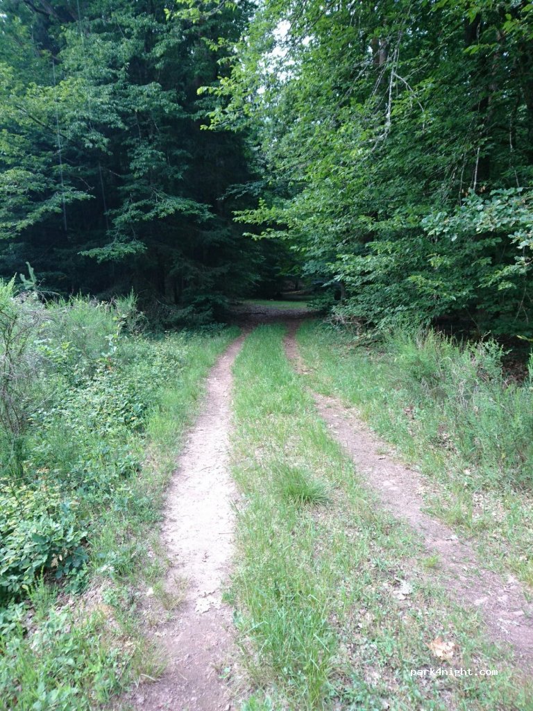 (57230) Éguelshardt - 224 Kronenacker — foto 2