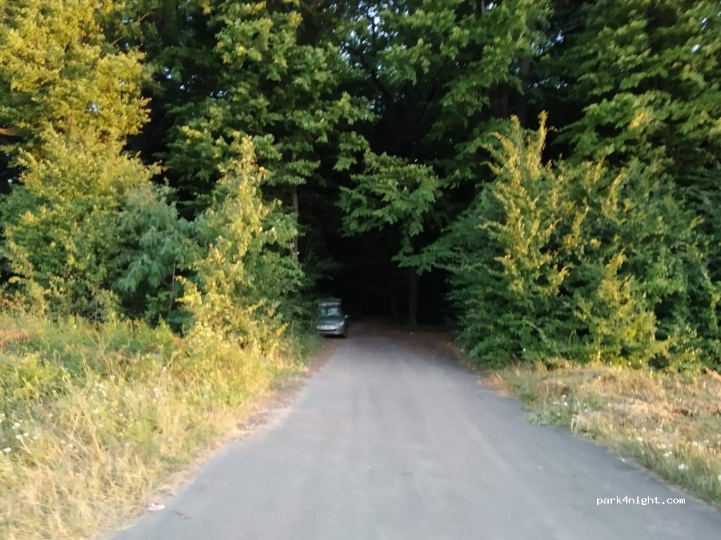 (20352) Cherkas'ka oblast - Unnamed Road, Sobkivka — foto