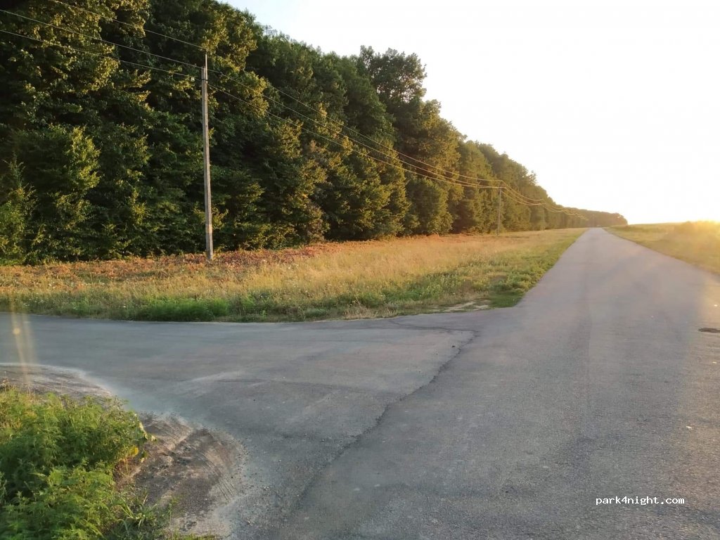 (20352) Cherkas'ka oblast - Unnamed Road, Sobkivka — foto 2