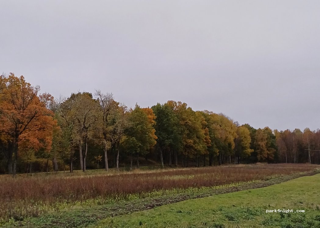 (705 97) Glanshammar - 227 KÄGGELHOLM, Ödebyvägen — foto 2
