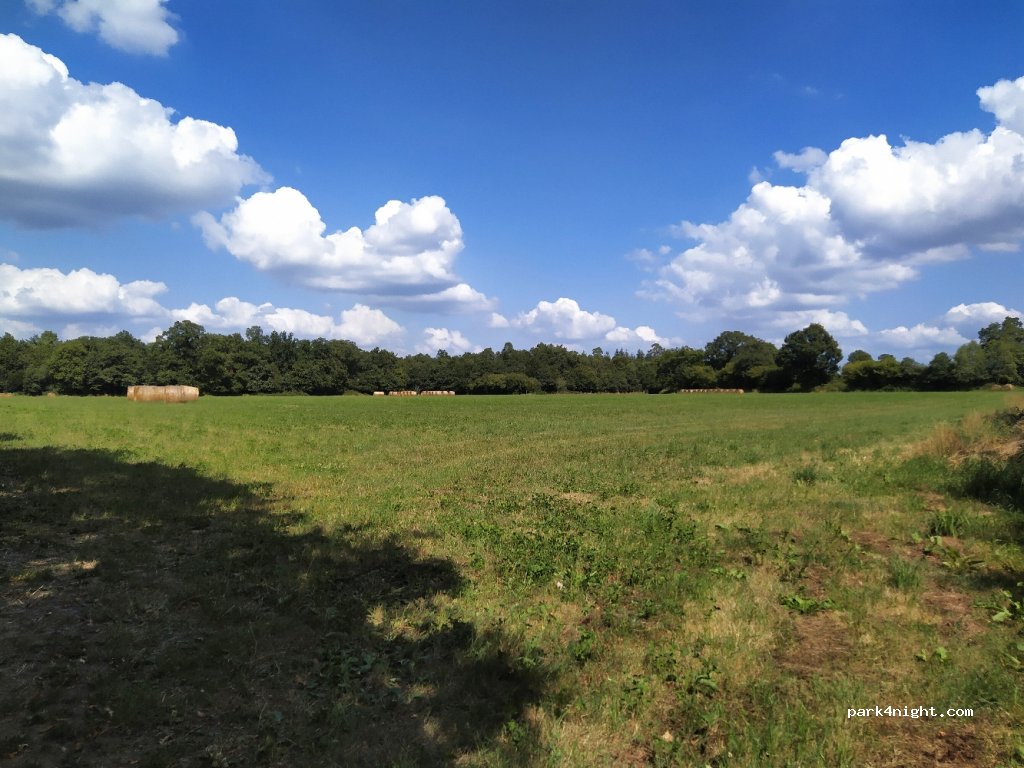 (61600) Saint-Patrice-du-Désert - 99 Bel-air — foto 2