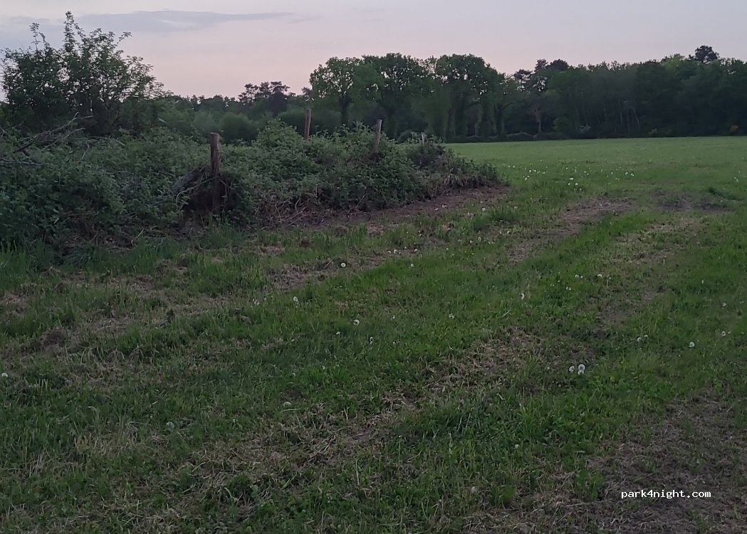 (61600) Saint-Patrice-du-Désert - 99 Bel-air — foto 3