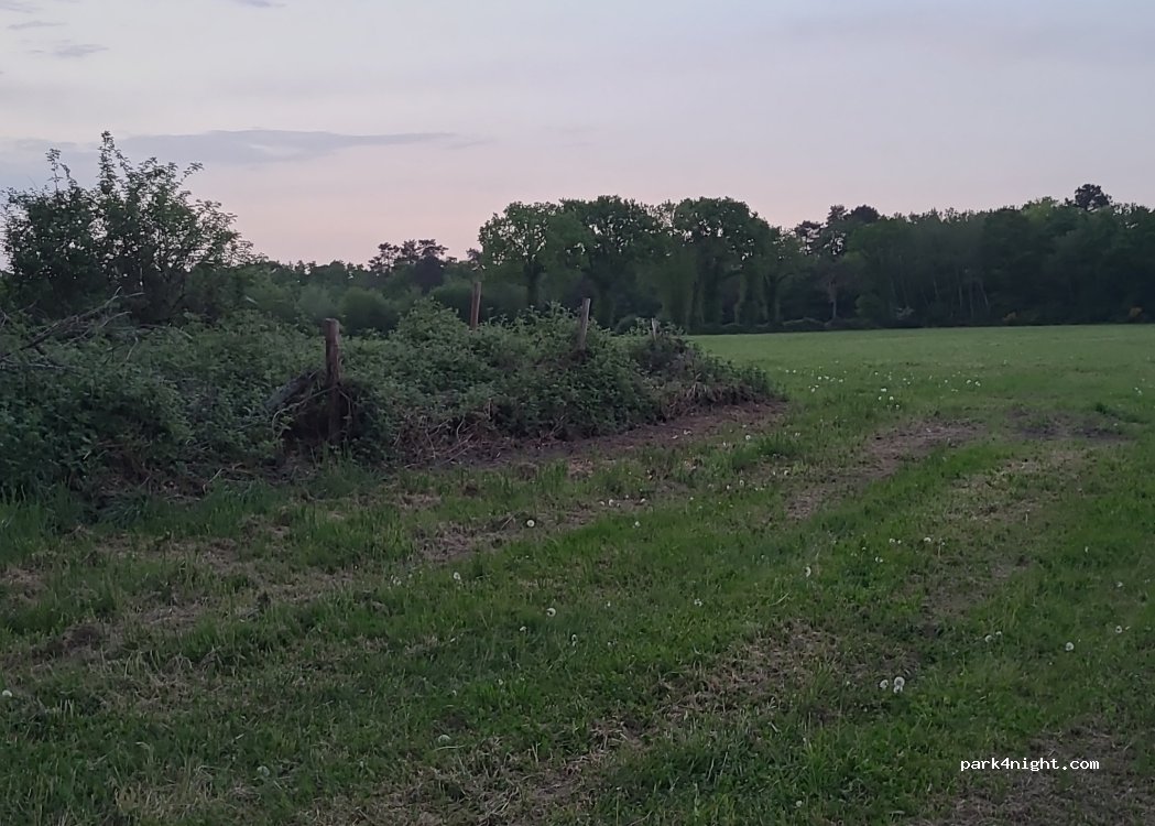 (61600) Saint-Patrice-du-Désert - 99 Bel-air — foto 4