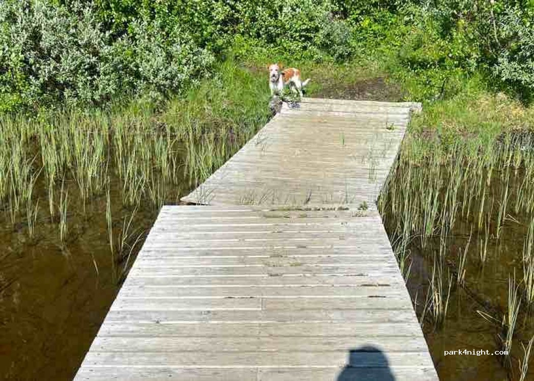 (833 99) Storviken - Unnamed Road — foto 4