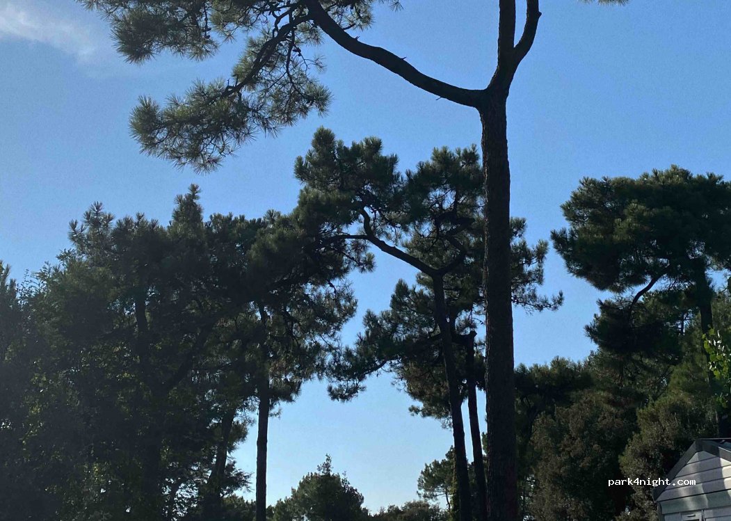 Camping Le Vieux Moulin — foto