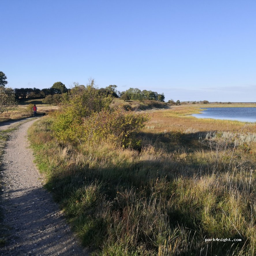 (8305) Samsø - 12 Langørevej — foto 4