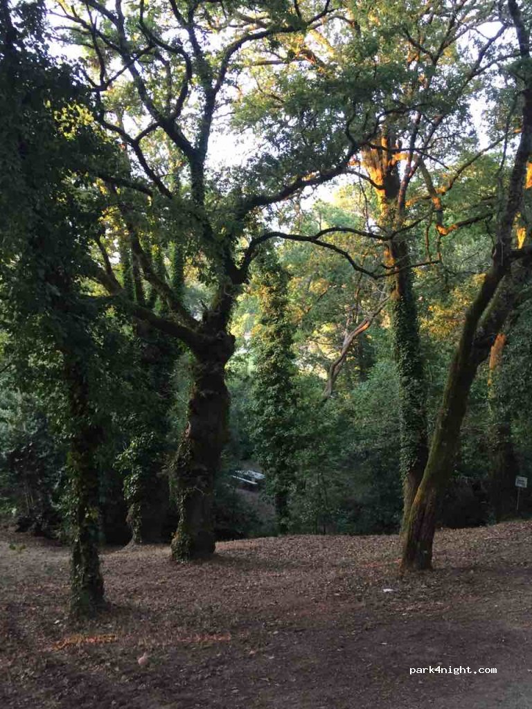 (36191) Barosa - 3 Lugar a Maquieira — foto