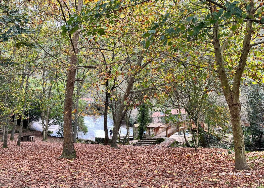 (36191) Barosa - 3 Lugar a Maquieira — foto 4