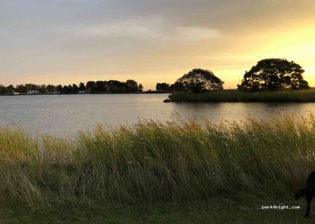Dalskärs Camping — foto 2