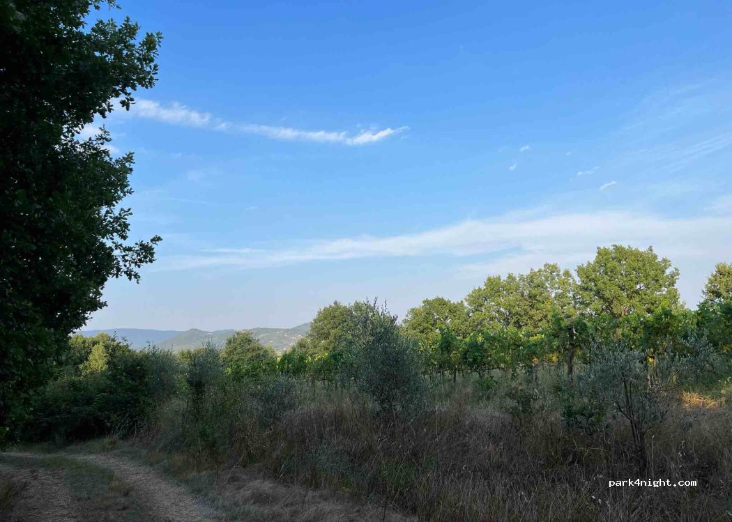 Camping I Commedianti — foto 3