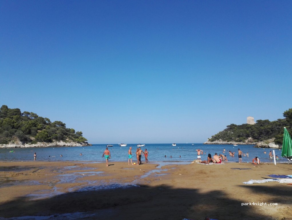 (71019) Vieste - SP53 — foto 2